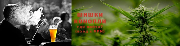 сатива Анжеро-Судженск