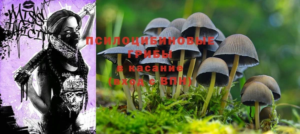 apvp Алапаевск