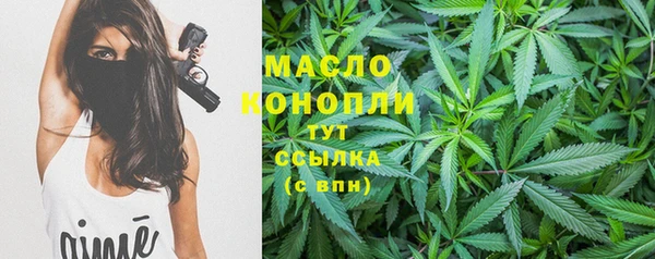 крисы Анива