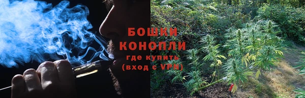 крисы Анива