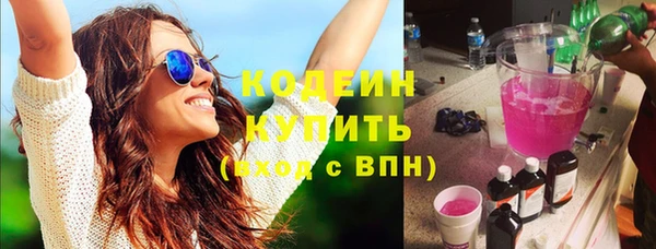 крисы Анива