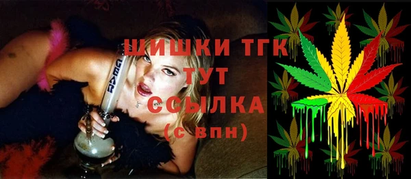 сатива Анжеро-Судженск