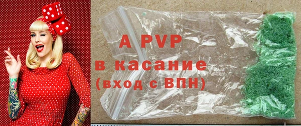 крисы Анива