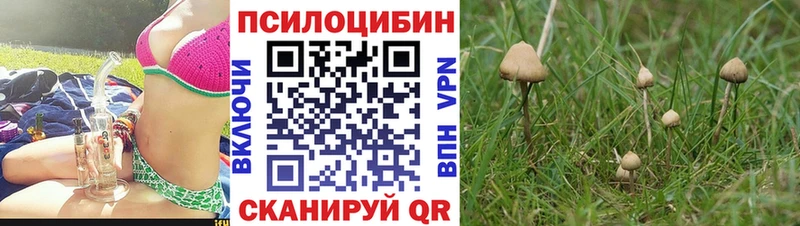 закладки  Гагарин  Псилоцибиновые грибы ЛСД 