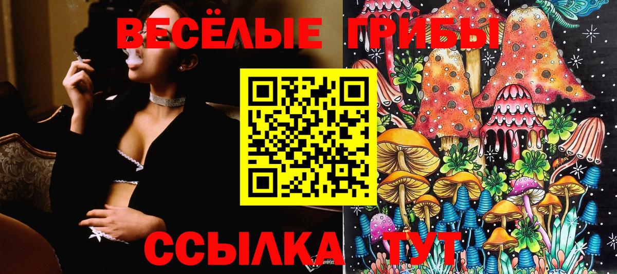 Галлюциногенные грибы Psilocybe Гагарин