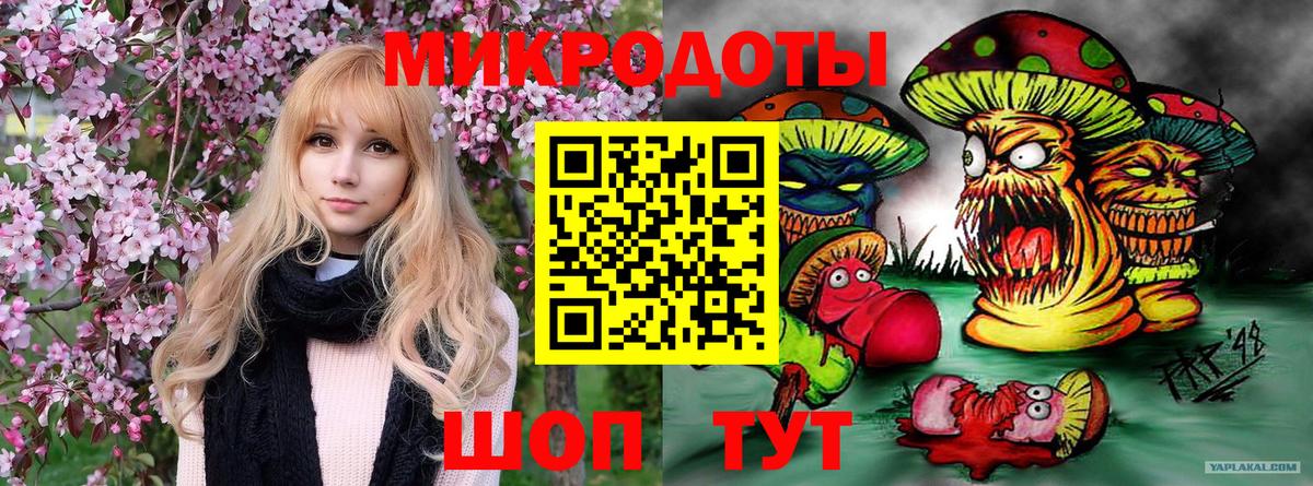 Псилоцибиновые грибы GOLDEN TEACHER  Гагарин  Псилоцибиновые грибы MAGIC MUSHROOMS 