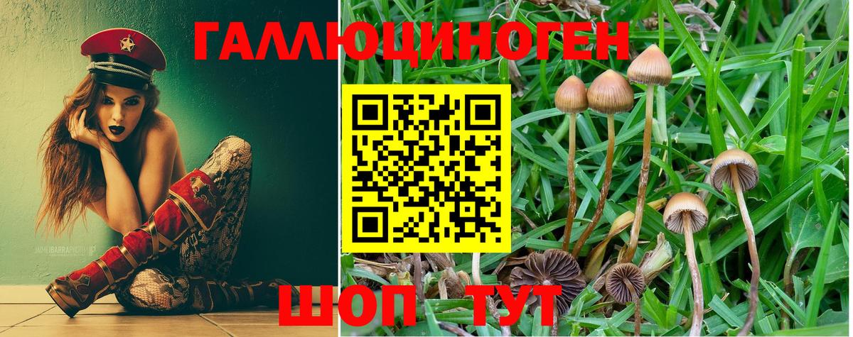 Галлюциногенные грибы Psilocybine cubensis  Вход с VPN  Псилоцибиновые грибы GOLDEN TEACHER  купить наркоту  Гагарин 